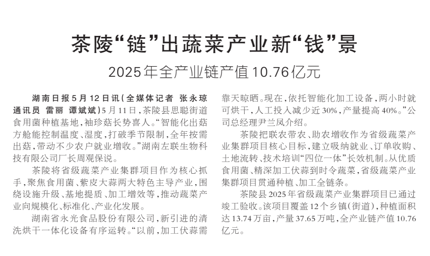 《茶陵“链”出蔬菜产业新“钱”景》湖南日报版面裁图