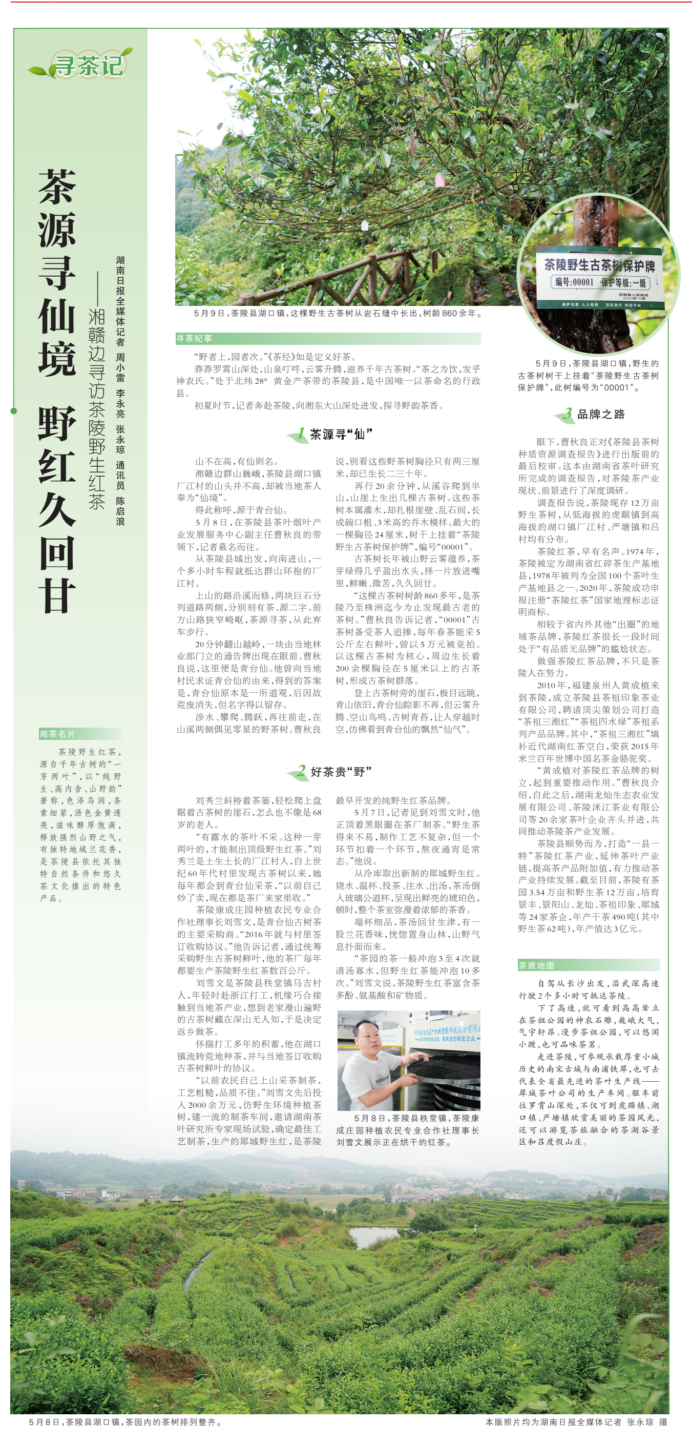 《茶源寻仙境 野红久回甘》湖南日报版面裁图